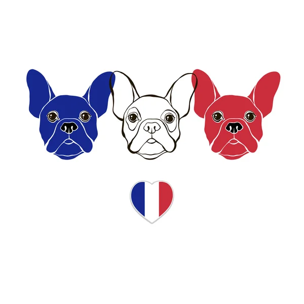 Franse Bulldogs in de kleuren — Stockvector