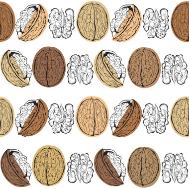  Ceviz ile Seamless Modeli
