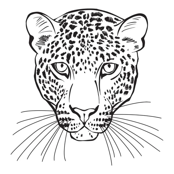 Леопард Обличчя Білому Може Бути Елементом Вашого Дизайну — стоковий вектор