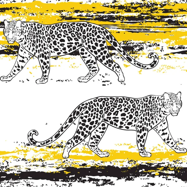 Leopárdok Textúra Csíkok Fehéren Állatművészeti Háttér Vektor — Stock Vector