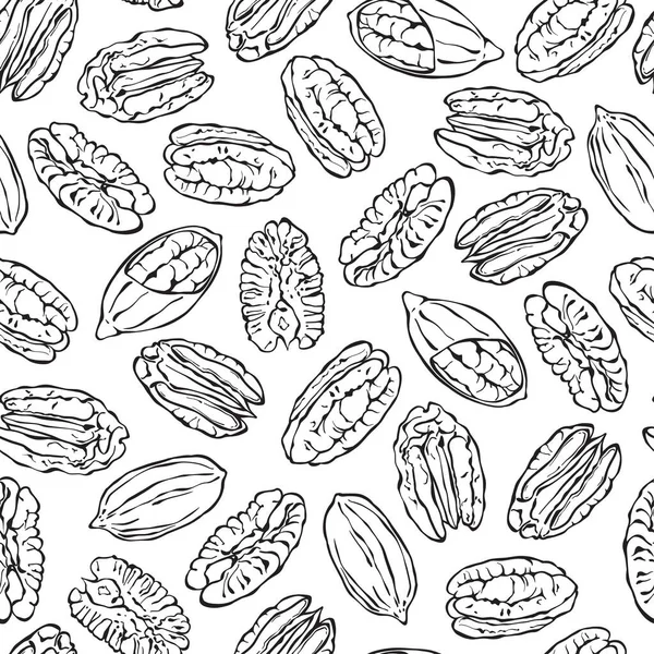 Sfondo Senza Cuciture Con Noci Pecan Bianco Vettore Disegnato Mano — Vettoriale Stock