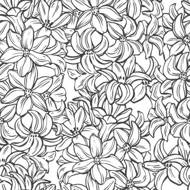 Sümbül çiçekleri. Sonsuz bir geçmişi var. Elle çizilmiş yay vektör çizimi. Siyah ve beyaz. Özet.