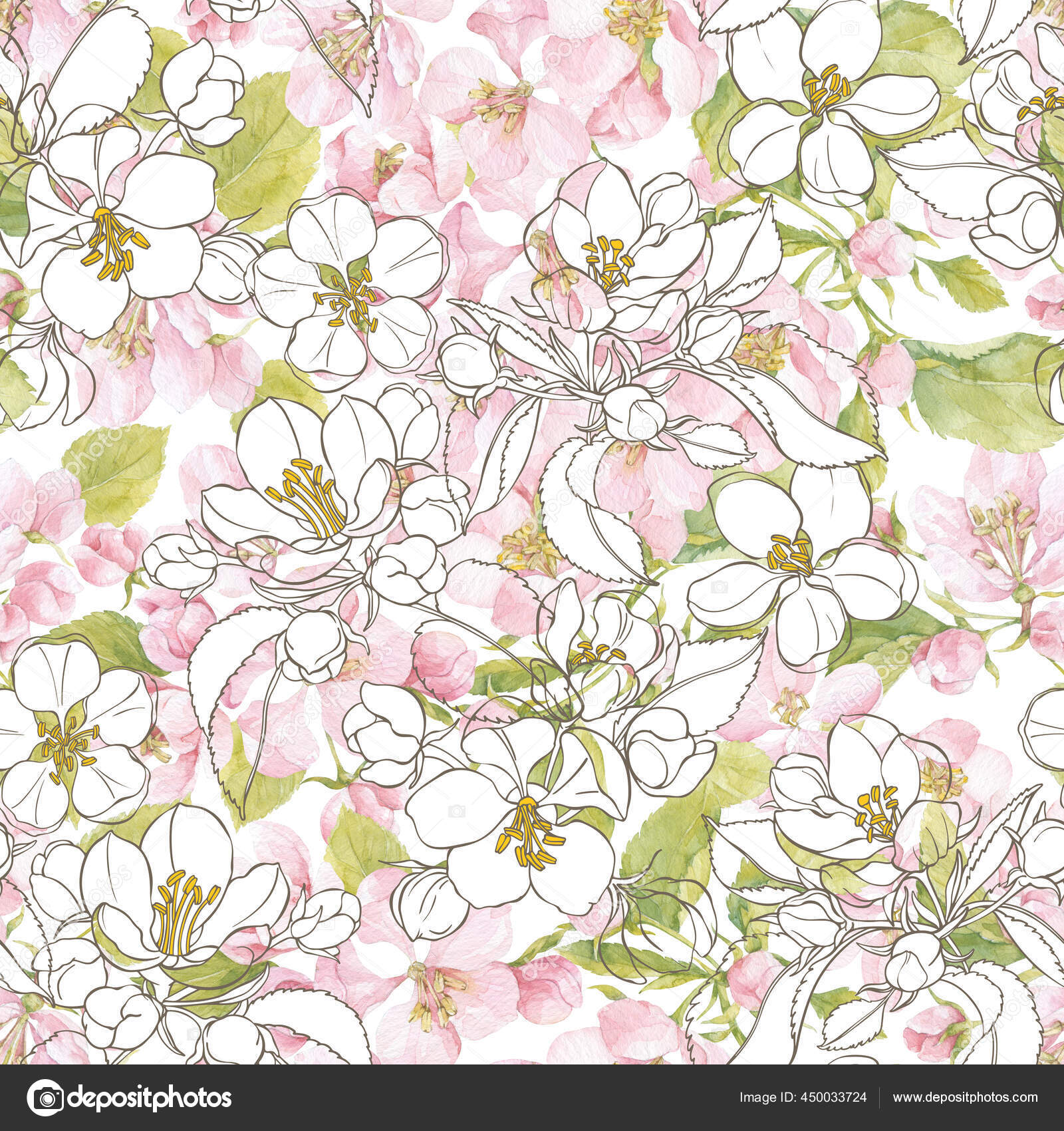リンゴの木の開花枝 水彩画と線画 自然を背景に 手描きの春イラスト ストック写真 C Maritime M リンゴの木の開花枝 水彩画と線画 自然を背景に 手描きの春イラスト ストック写真 C Maritime M