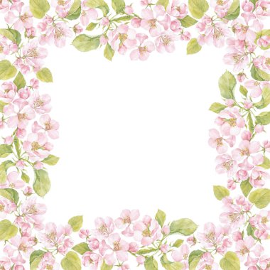 Elma ağaçlarının çiçekli dalları. Suluboya. Çiçek çelengi mesaj için uygun. Doğa arkaplanı.