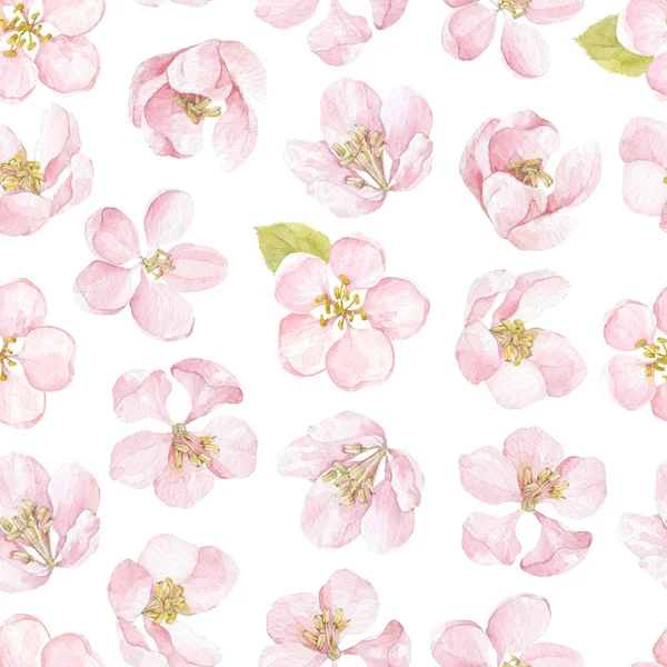 Kvetoucí Jablečné Květiny Akvarel Přírodní Pozadí Ručně Kreslené Jarní Ilustrace — Stock fotografie