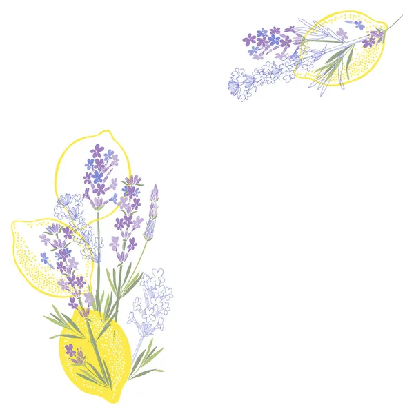 Lavendel Citroenen Bloemen Lijst Vector Lay Out Decoratieve Wenskaart Uitnodiging — Stockvector