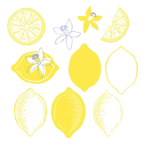 Ilustración Dibujada Mano Limones Aislados Sobre Fondo Blanco — Archivo Imágenes Vectoriales