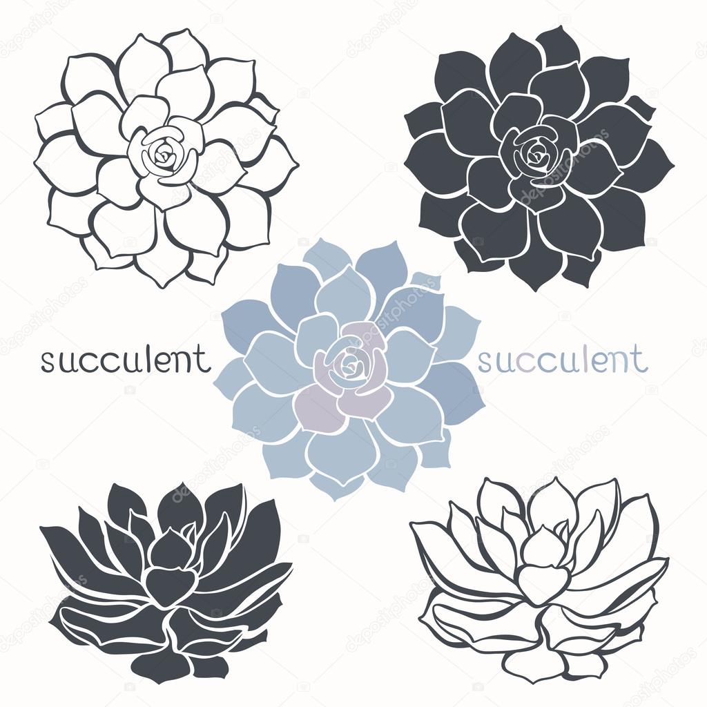 Graphic set with succulents