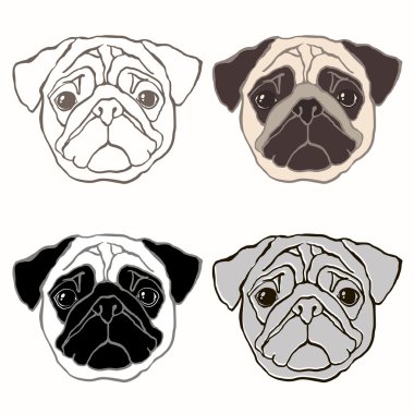 Pug'ın yüz kümesi