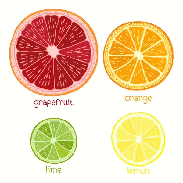 Set van citrusvruchten — Stockvector