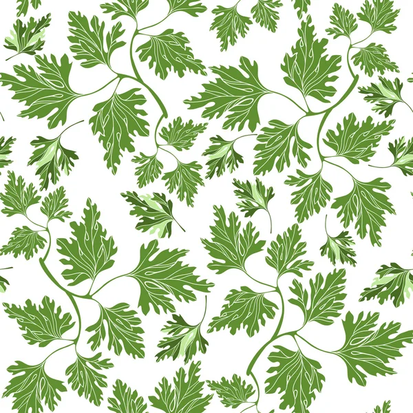 Seamless pattern with parsley — Stock Vector