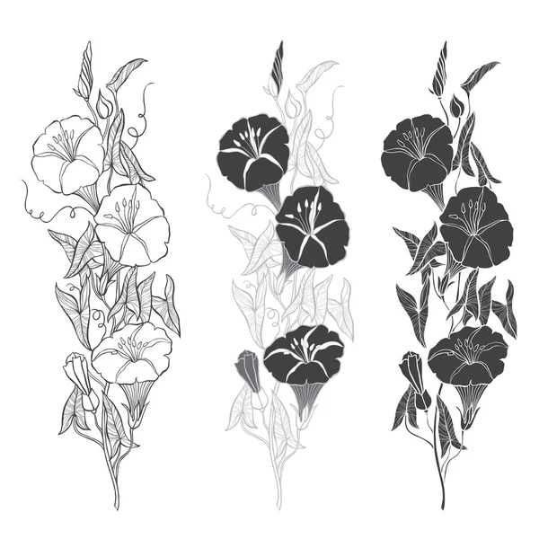 Set bindweed — Stockvector