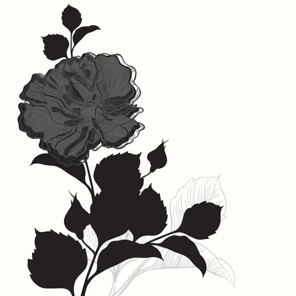 Rose. Black and white greeting card — Stock Vector