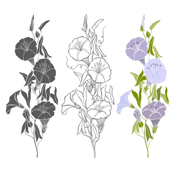 Uppsättning av Vinda blommor — Stock vektor