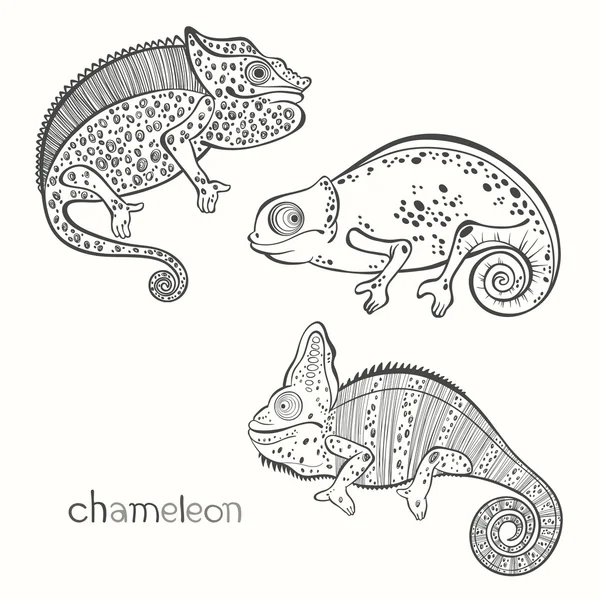 Ensemble de caméléons — Image vectorielle