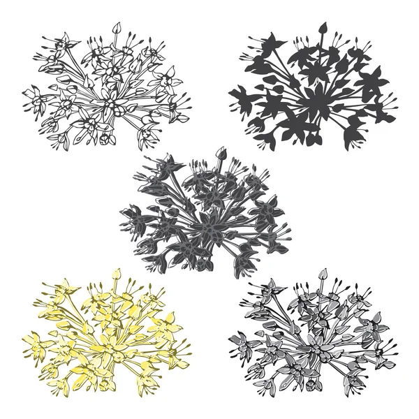 Set von abstrakten Blumen — Stockvektor