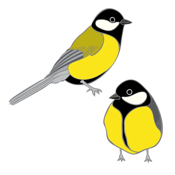 Dua tangan-menggambar titmouses Grafik Vektor