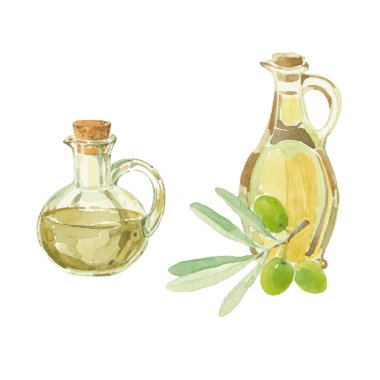 zeytin dalı ve zeytin yağı