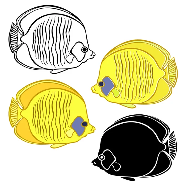 Σκίτσο ψάρια εικονογράφηση — Διανυσματικό Αρχείο