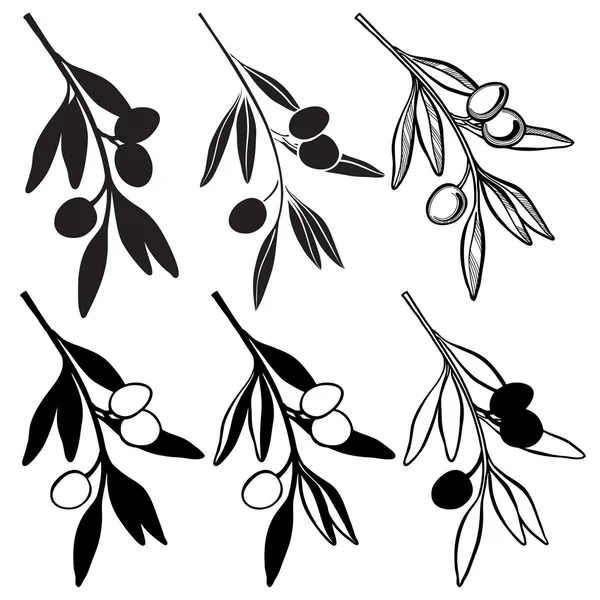 zeytin dalı seti