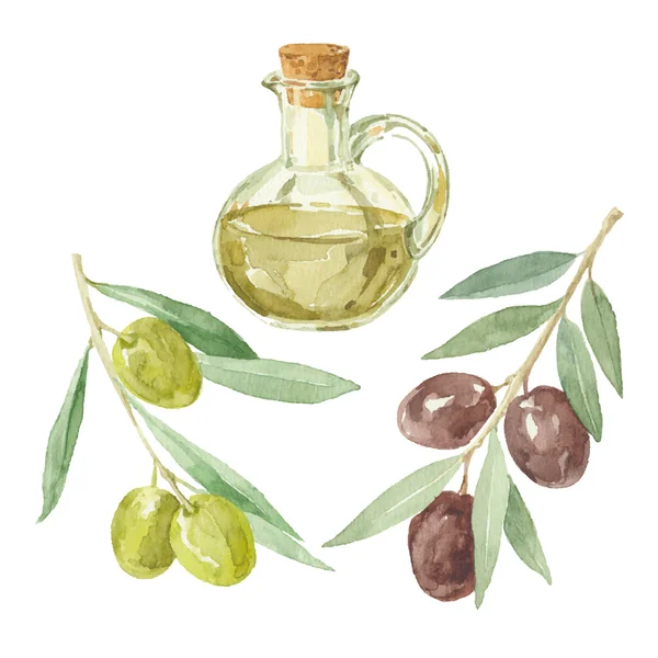 Ramas de oliva y aceite de oliva — Vector de stock