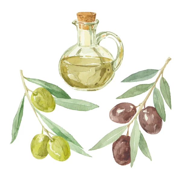 Оливкові гілки та оливкова олія Ліцензійні Стокові Ілюстрації