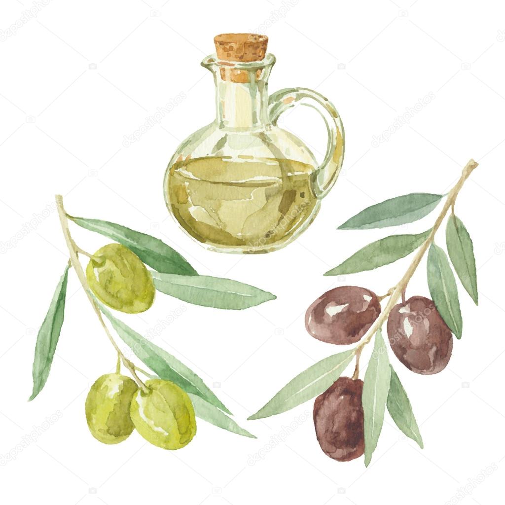Olive branches and olive oil