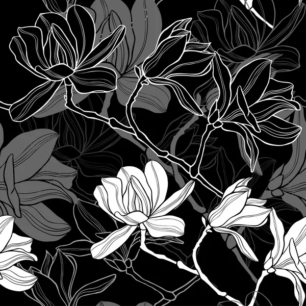 Fondo con flores de magnolia — Archivo Imágenes Vectoriales