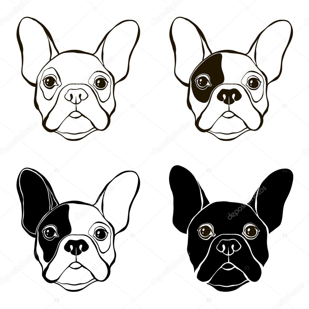 Cute bulldogs muzzles