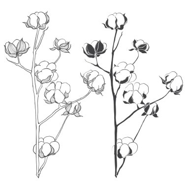 Set of cotton isolated clipart