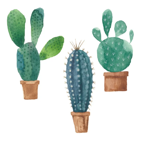 Cactus aislado en blanco — Vector de stock
