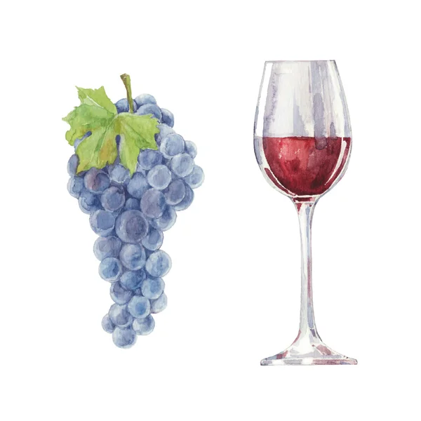 Uvas y vino tinto en una copa — Vector de stock