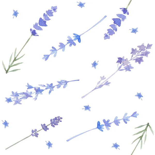 Aquarellmuster mit Lavendel — Stockvektor