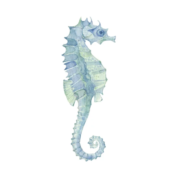 Sea horse geïsoleerd — Stockvector