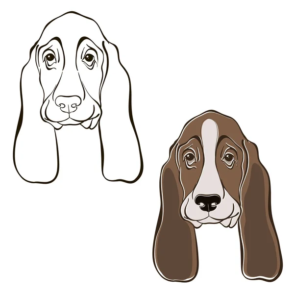 Set of  basset hound's face — Stock Vector