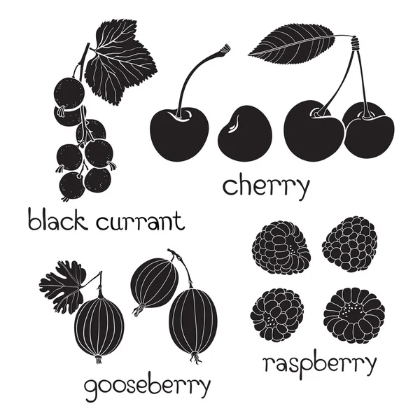 Set van berry silhouetten op een witte achtergrond. — Stockvector