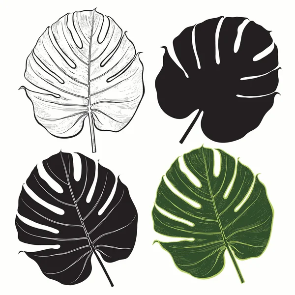 Set of  palm leaves — Stock Vector