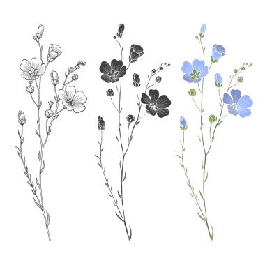 Floral seamless flax plants clipart