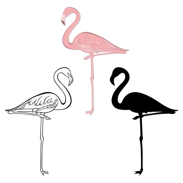 Rosa, svart och vitt Flamingos — Stock vektor