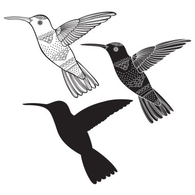 Beyaz arka plan üzerinde sinek kuşlarının kümesi.