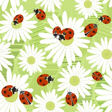 Chamomiles ve ladybirds ile Seamless Modeli.
