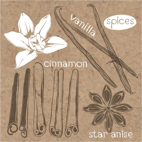 Spices. Cinnamon, vanilla and star anise. — Stock Vector