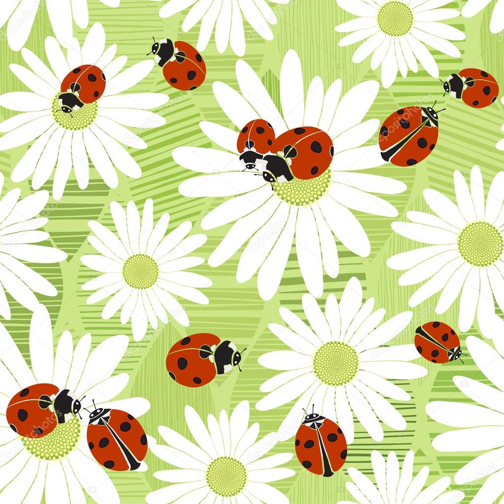 Seamless pattern with  chamomiles and ladybirds.
