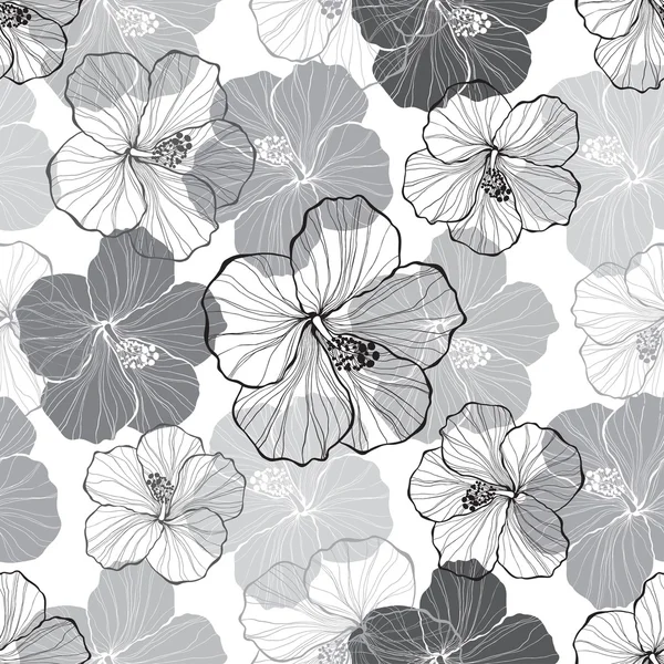 Modèle avec des fleurs d'Hibiscus . — Image vectorielle