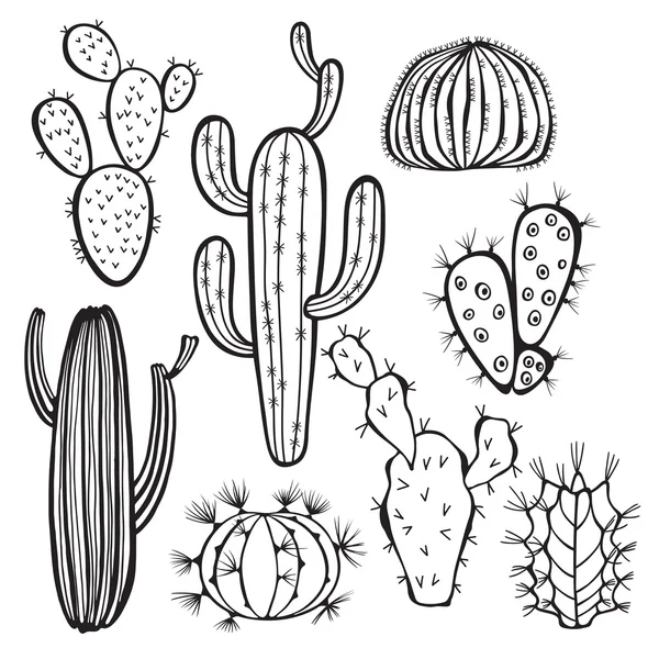 Kaktus izolowany na białym tle — Wektor stockowy