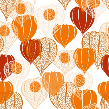 Physalis çiçek deseni
