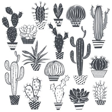 Kaktüs ve succulents seti