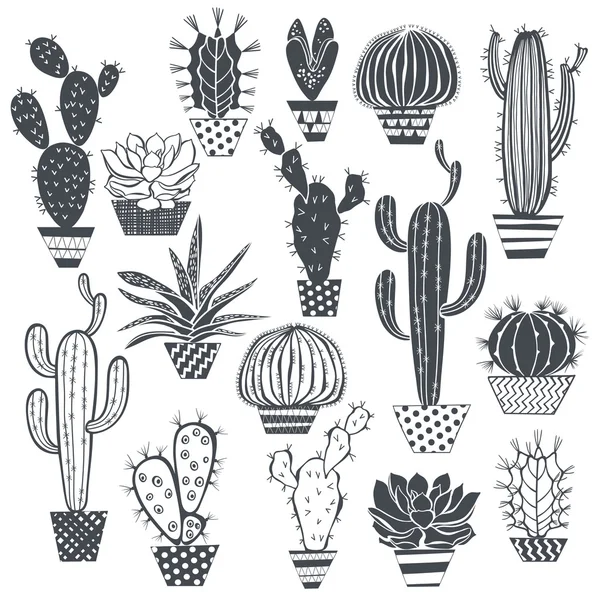 Set di cactus e succulente — Vettoriale Stock