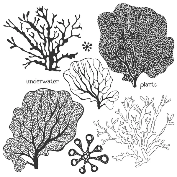 Reihe von Unterwasserpflanzen. — Stockvektor