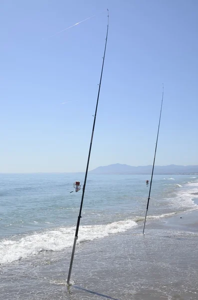 Tiges de pêche sur le rivage — Photo